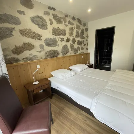 Prázdninový dům Maison Au Coeur Des Volcans Laveissière